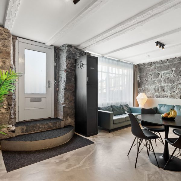 Amazing Apartment in Downtown Reykjavik
