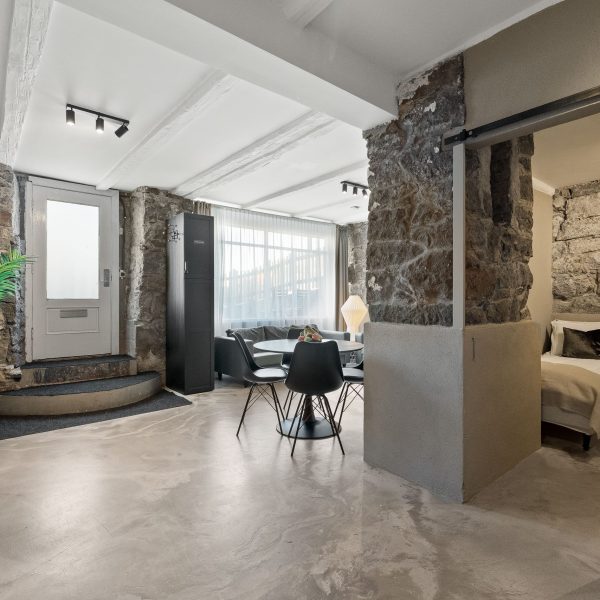 Amazing Apartment in Downtown Reykjavik
